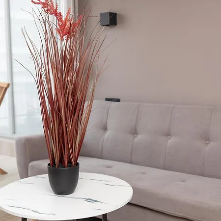 Apartman Oditee Rotonda *